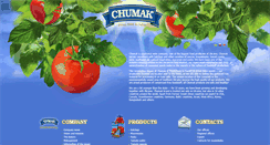 Desktop Screenshot of en.chumak.com
